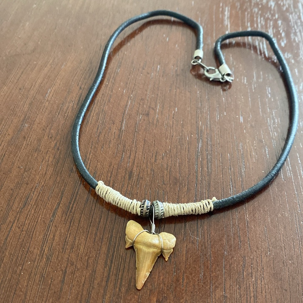 Shark Tooth on Cord Necklace